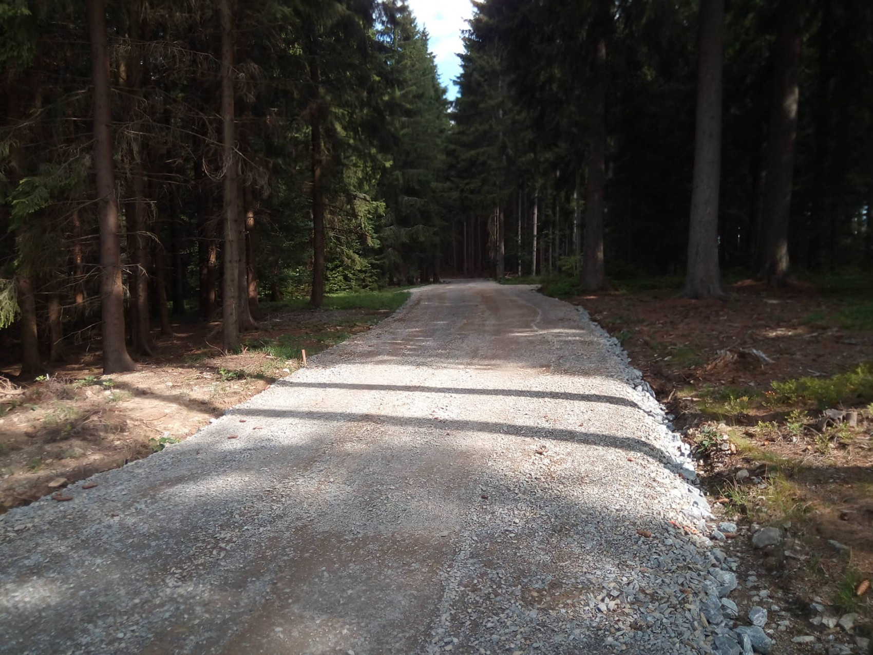 Rekonstrukce lesní cesty Svážnice - Okrouhlický